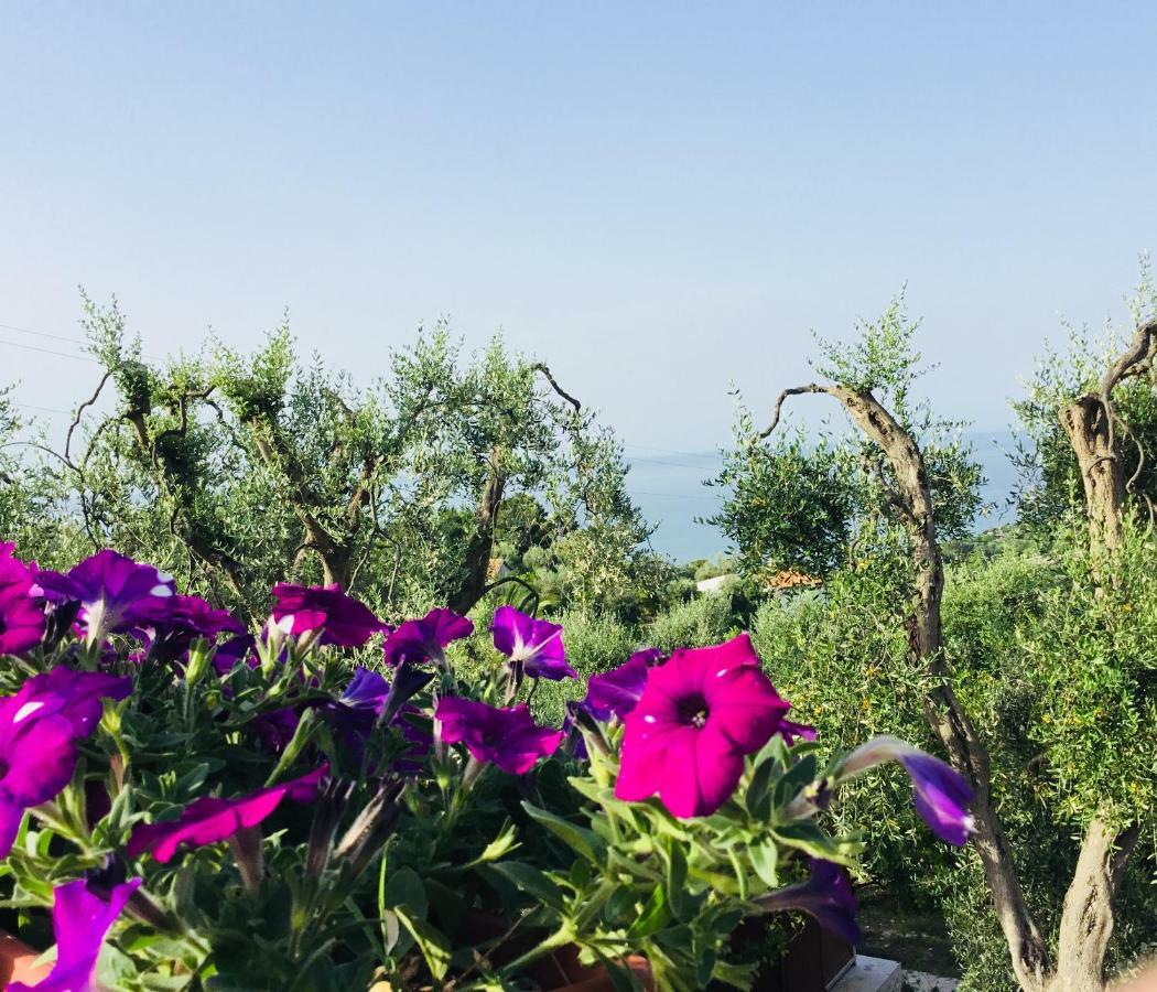 Borgo Canneto 로디가르가니코 외부 사진